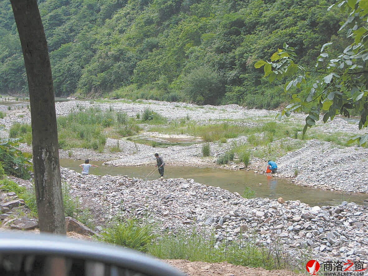 6月2日，柞水杏坪鎮(zhèn)金口村不到十里的河道電魚的就有四伙人
