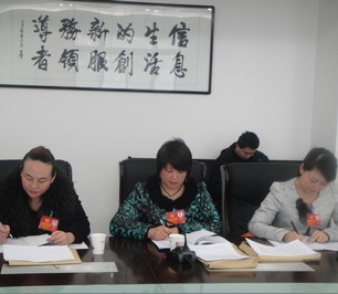 文化、衛(wèi)生界委員認(rèn)真記錄委員討論內(nèi)容