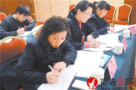 柞水團(tuán)代表正在認(rèn)真撰寫建議。 （記者 李敏 費(fèi)翔 攝）