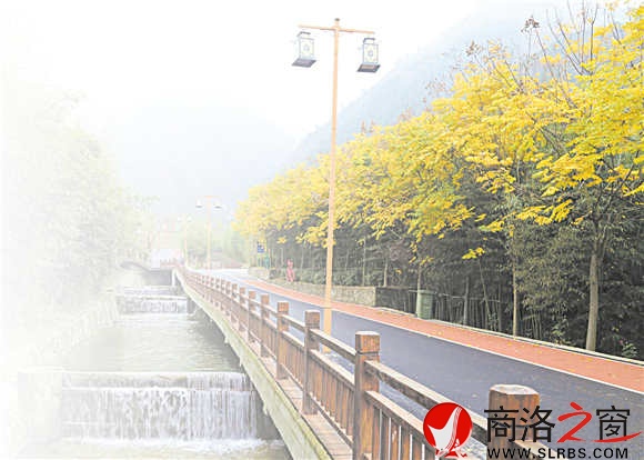 碧水、青竹、黃葉、觀景道，美麗鄉(xiāng)村竹林關(guān)的鄉(xiāng)間小道。