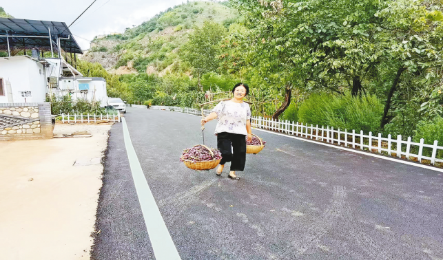 一條柏油路，串起果農(nóng)新生活