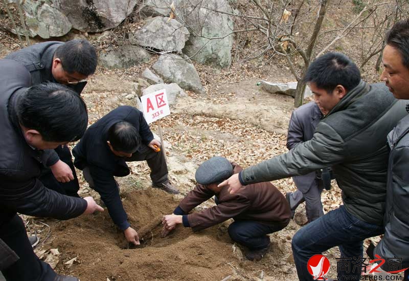 商南縣政府開展送政策、送技術(shù)、送溫暖活動(dòng)