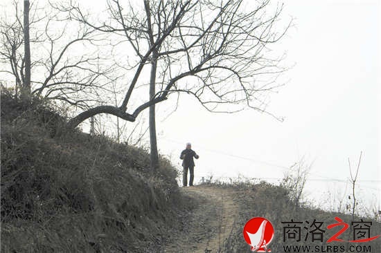 我們離開時，吳桂香送出很遠。我們已經(jīng)走遠，山梁上那孤獨的身影久久不肯離去。