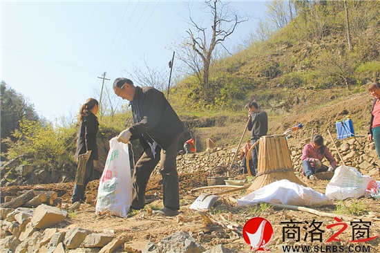 正是種豬苓的時(shí)候,田地里隨處可見(jiàn)種植的農(nóng)戶。