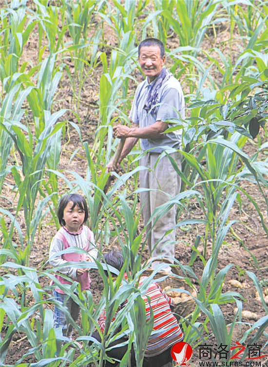 在石灰岔，最珍貴的還是土地。每到收獲季節(jié)，外出務工的村民總會匆匆趕回來收割莊稼。幾天之后，他們會再次踏上征程。