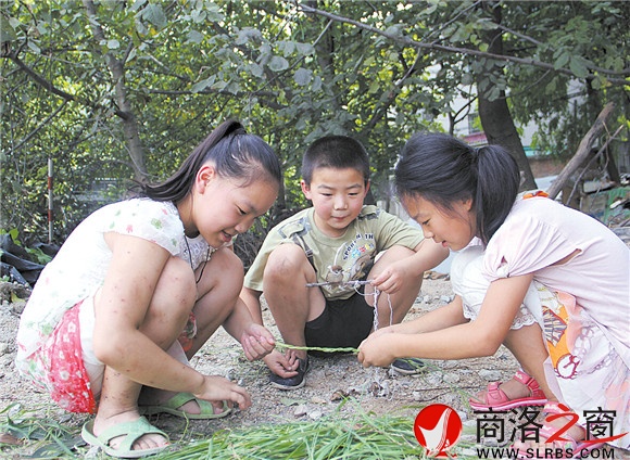 黃沙嶺腳下，胡昊和小伙伴們正在給一只小鳥用草編籠子。